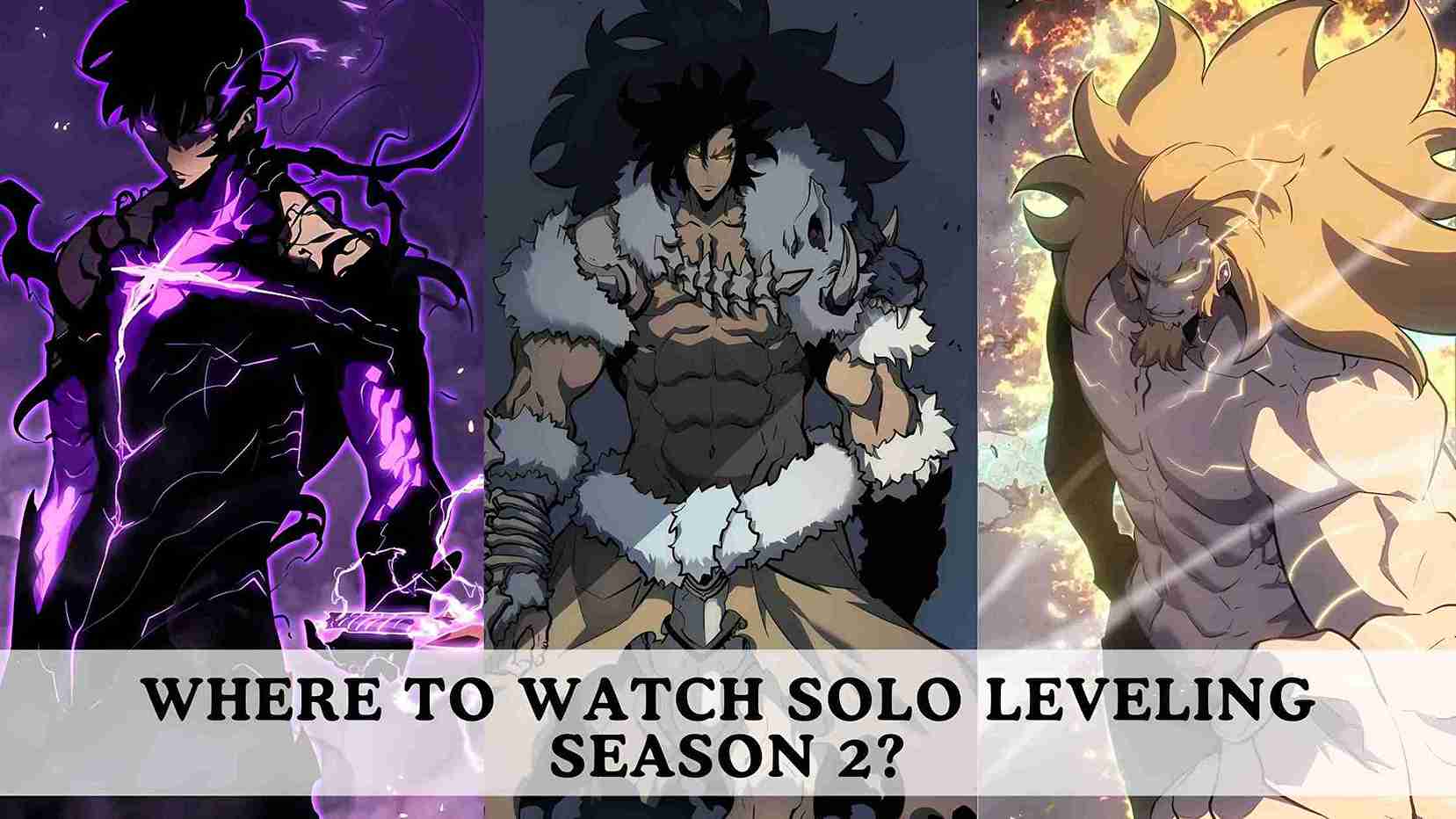 Where to Watch Solo Leveling Season 2? Solo Leveling Season 2 release date main Heading 1 image